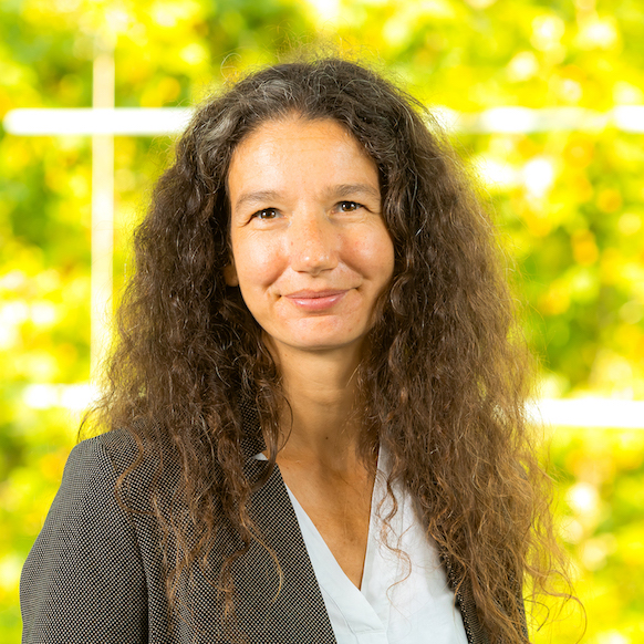 Prof. Dr. Katrin Wisniewski